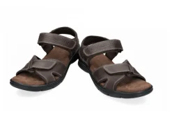 Panama Jack Sanders Basic Strap Sandal<Men Sandals